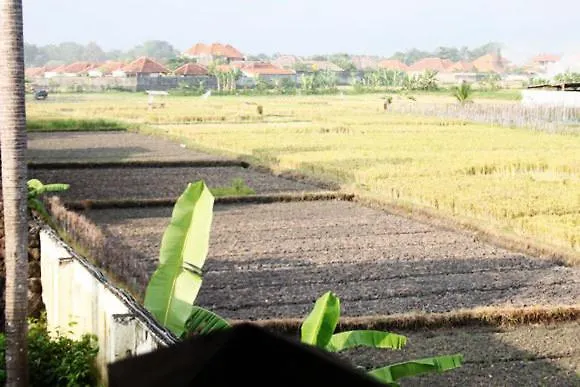 Bali Bunga Villas Seminyak Lejlighed